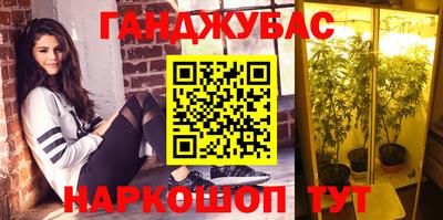 гашик Гусь-Хрустальный