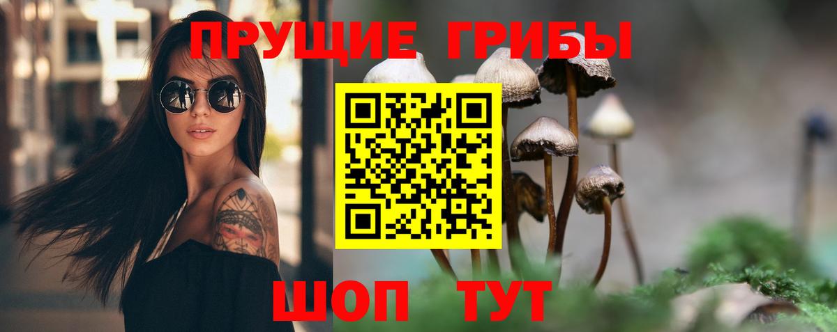Псилоцибиновые грибы GOLDEN TEACHER Псков